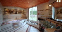 PROPRIETE – POUILLY SUR LOIRE – 1374