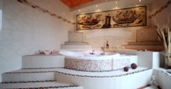 PROPRIETE – POUILLY SUR LOIRE – 1374