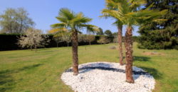 PROPRIETE – POUILLY SUR LOIRE – 1374