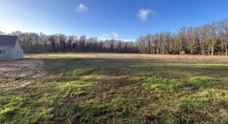 TERRAIN A BATIR – MESVES SUR LOIRE – 1383