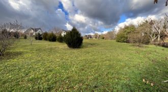 TERRAIN A BATIR – LA CHARITE SUR LOIRE – 1370