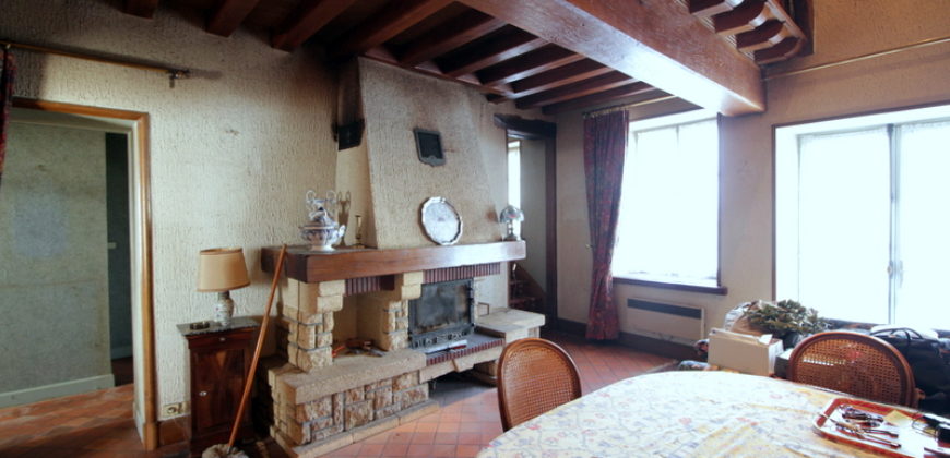TRACY SUR LOIRE – Proche SANCERRE –