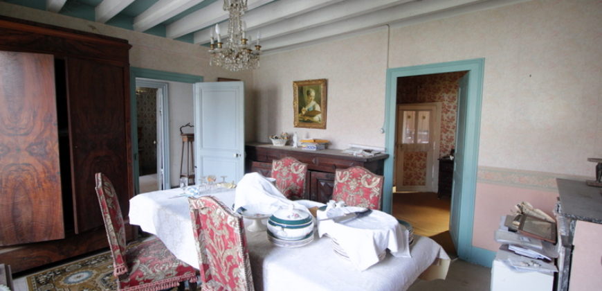 TRACY SUR LOIRE – Proche SANCERRE –